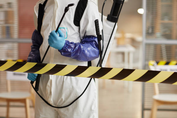 Professional Sewage Cleanup technician working in Nashville, IN